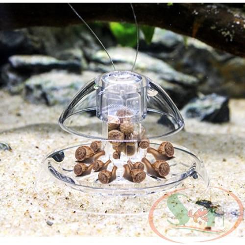 Bẫy Ốc Hại Diy Snail Trap