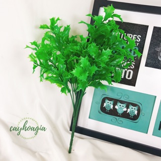 Cây giả - Cây đinh lăng xanh