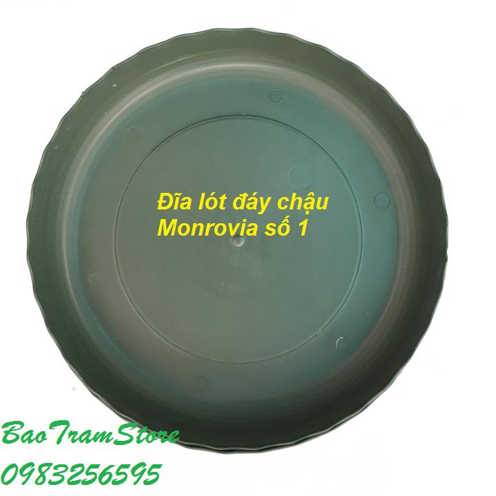 Đĩa lót đáy chậu nhựa trồng cây cao cấp Monrovia cỡ số 1