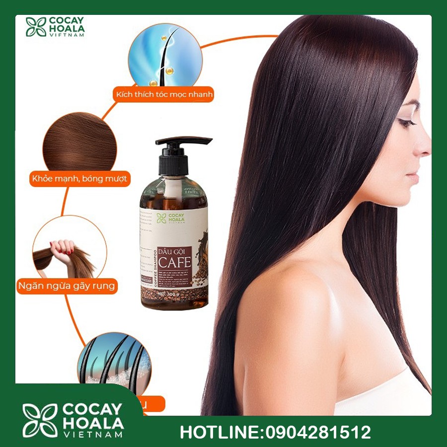 Dầu Gội Cà Phê - Dầu Gội Thảo Dược Cà Phê Trị Liệu Tóc Cocayhoala Chiết Xuất Hạt Cà Phê Arabica 300g | BigBuy360 - bigbuy360.vn