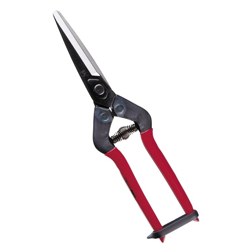 Kéo cắt cành cao cấp Nhật bản Chikamasa T-7C, chiều dài lưỡi 63mm, lưỡi thép carbon chất lượng cao siêu bén