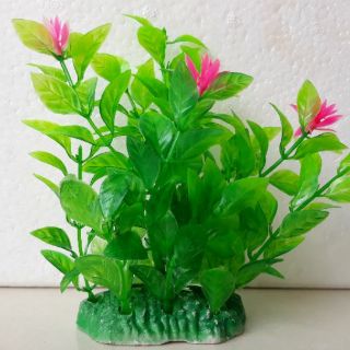 Rong trang trí hồ cá