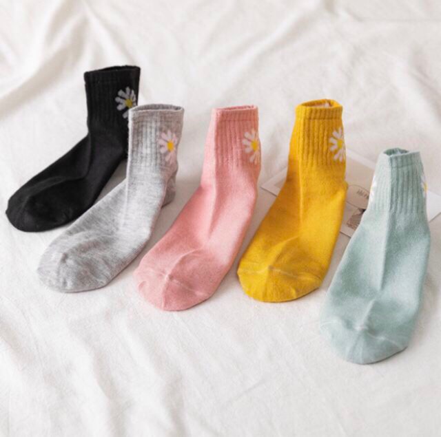 Set tất nữ 10 đôi cúc họa mi hot trend (Vớ hoa cúc)