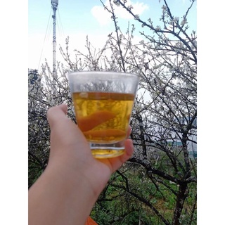 Trà sơn mật hồng sâm