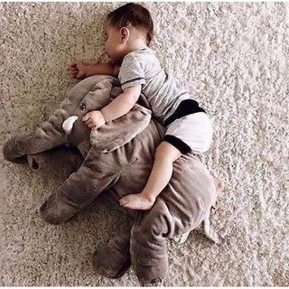 THÚ NHỒI BÔNG VOI XÁM