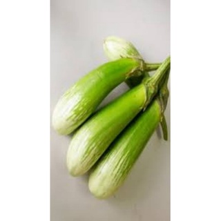 Hạt giống cà phổi sọc lem