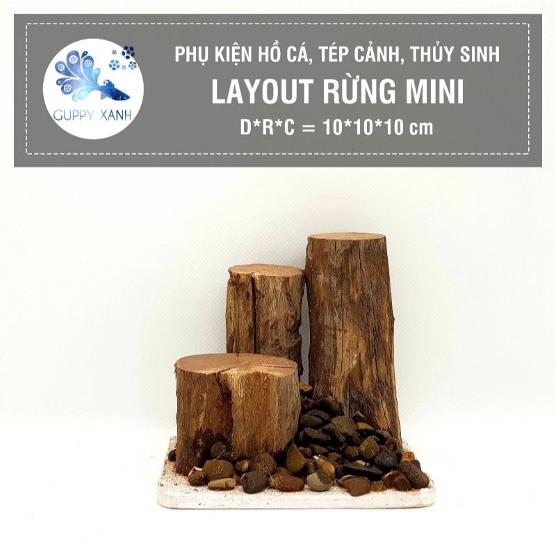 layout thủy sinh rừng mini size 10x10 thích hợp để bàn - lũa layout rừng