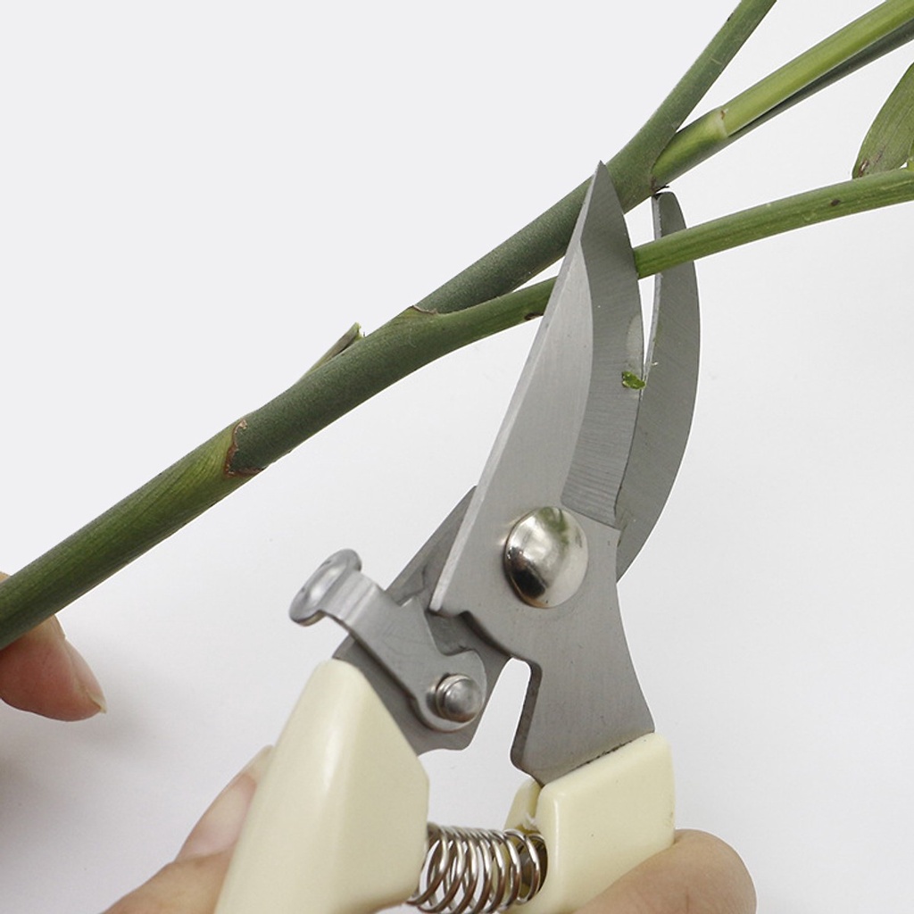 Kéo cắt cành cây, tỉa lá chuyên dụng