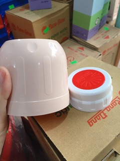 Phích nước nóng Rạng Đông 2 lít