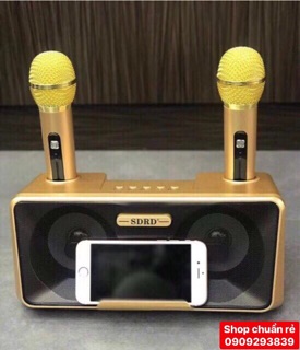 Loa karaoke Bluetooth mini SD-301