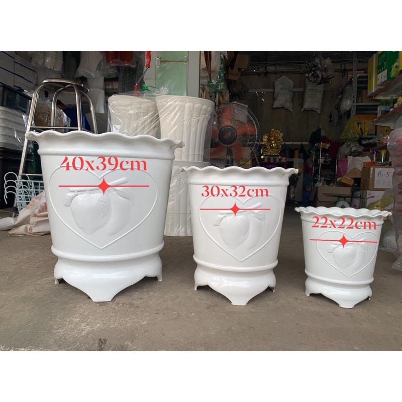 Chậu ĐÀO CÓ CHẤN ĐẾ cao gồm 3 kích thước