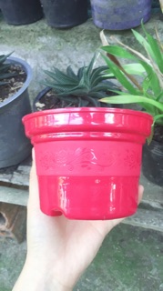 Chậu nhựa tròn
