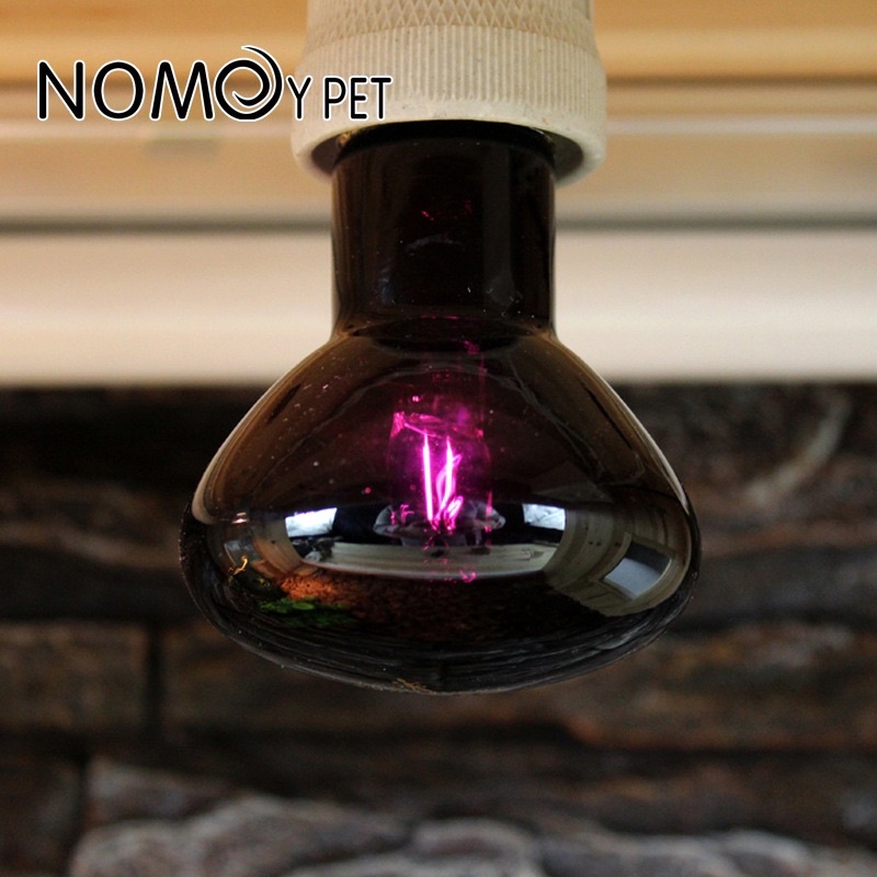 Đèn UVA ban đêm, đèn ánh trăng chính hãng Nomoy pet dùng cho bò sát