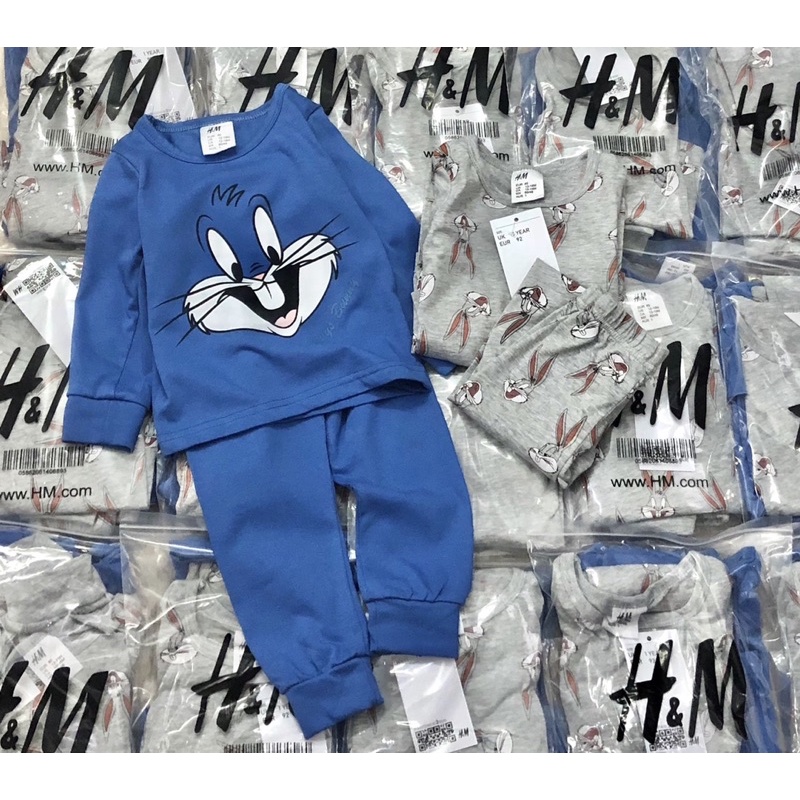 Set 2 bộ cotton dài tay thỏ xanh và xám cho bé trai 1-6Y