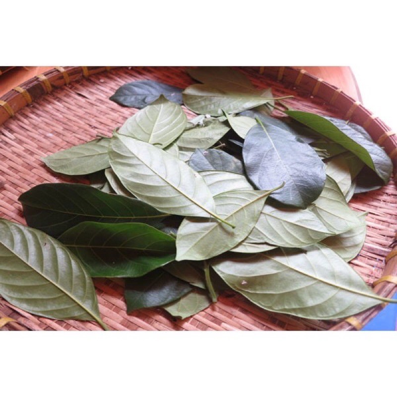 Lá  mít  tươi 5k/100g