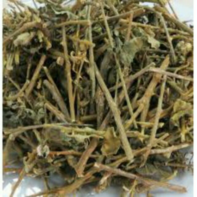 sỉ 2kg cà gai leo lọc gan