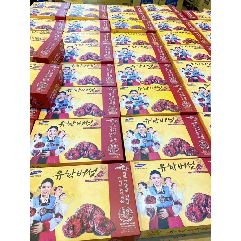 1kg nấm linh chi vàng chanh hộp cô gái Hàn Quốc