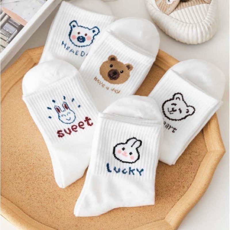 SET 10 đôi tất vớ gấu thỏ trắng cổ cao chất co giãn tốt