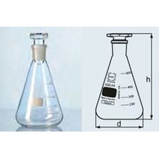 Bình tam giác có nút 100ml