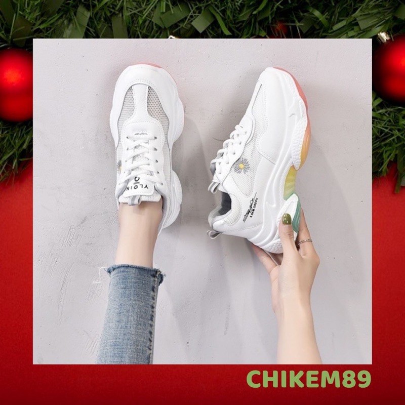 Giày sneakers thể thao ⭐️FREESHIP⭐️ giày nữ phối lưới  thoáng khí hoa cúc độn đế cầu vồng, tăng chiều cao