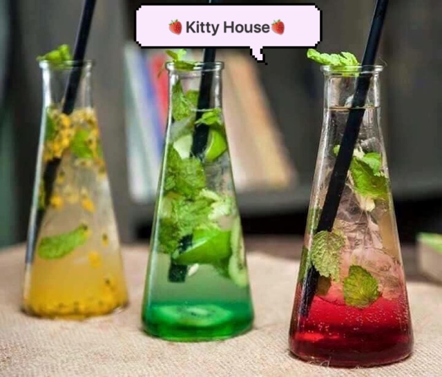 Combo 6 Chai thuỷ tinh hình tam giác nón kèm nút gỗ- 350ml