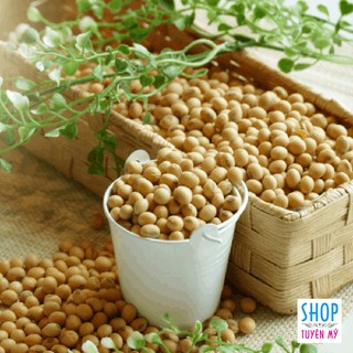 200gr hạt đậu nành - đậu nành sống chưa qua chế biến