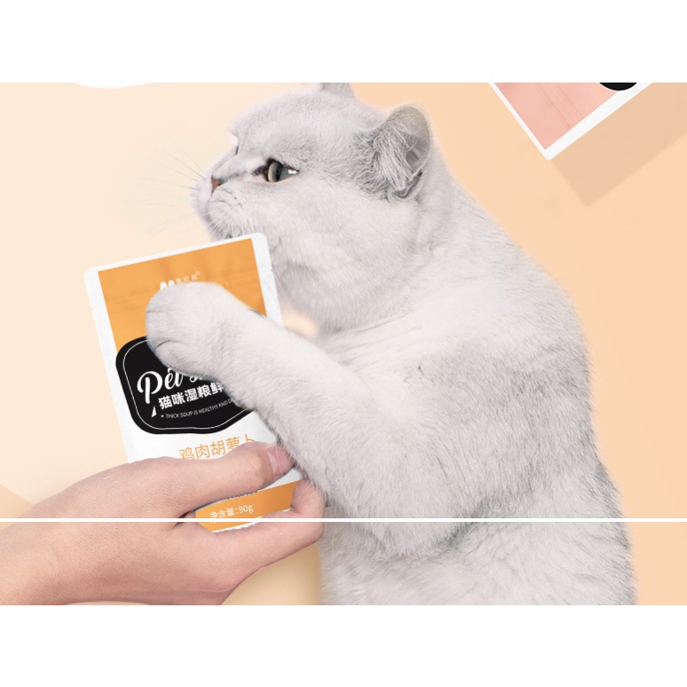 Súp (XỐT, PATE) Cho Mèo Thịt Vị Thịt Gà Pet Snack Masti Túi 90g