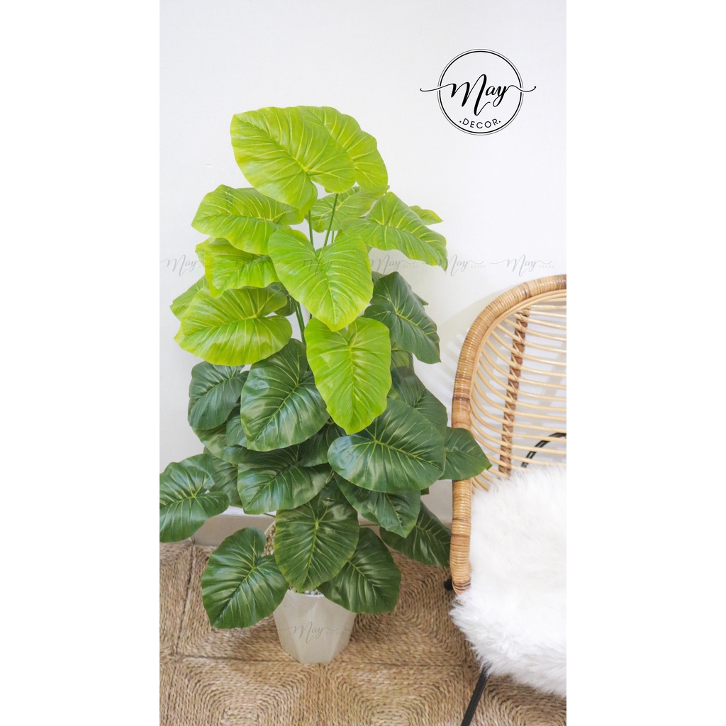 Cây giả Cây lá rùa, Trầu bà Montera, Cây môn đốm 1m2