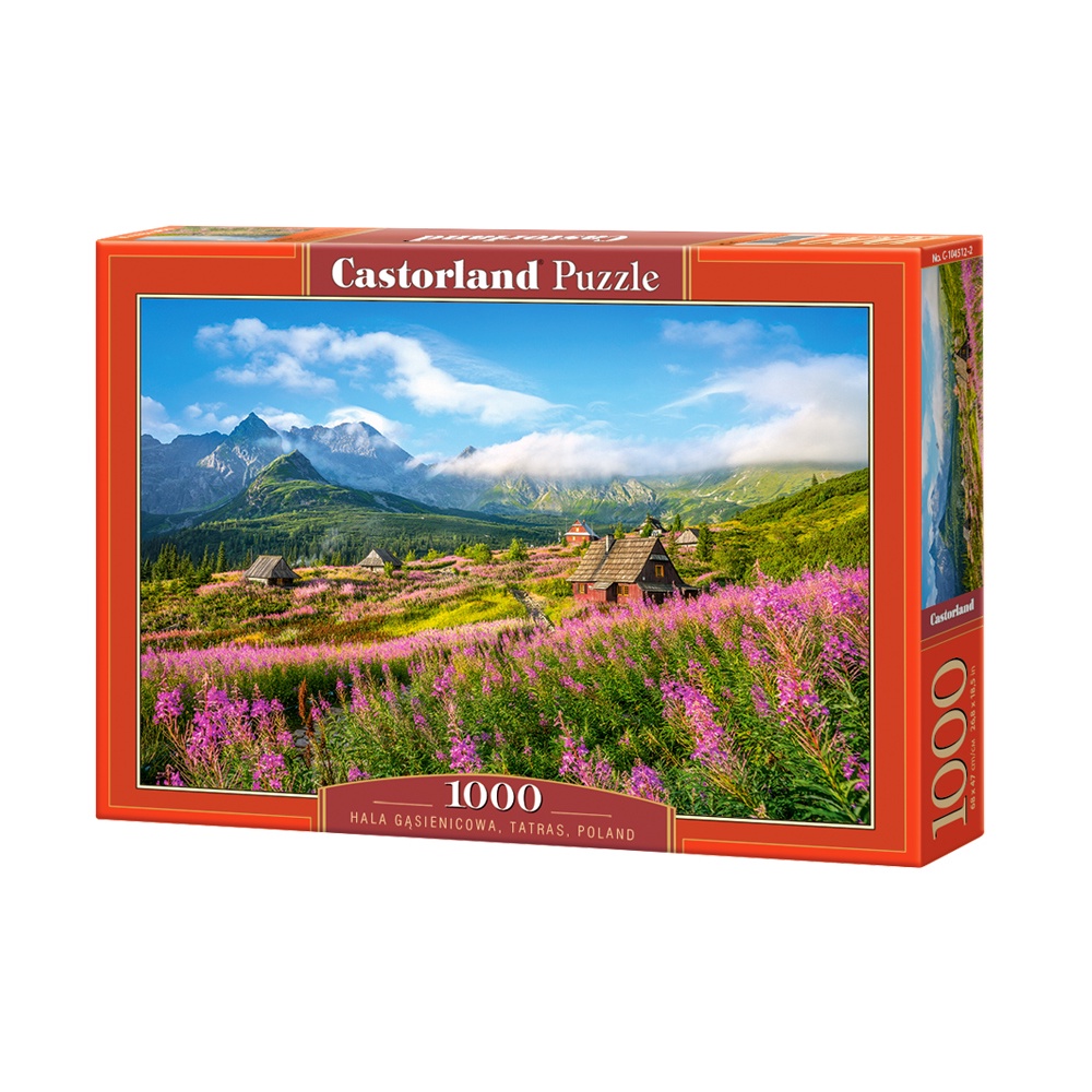 Xếp hình puzzle Hala Gasienicowa, Tatras, Poland 1000 mảnh CASTORLAND C-104512