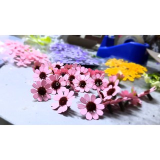 [GIẢM GIÁ] 100 Nhị Lông 0.8cm