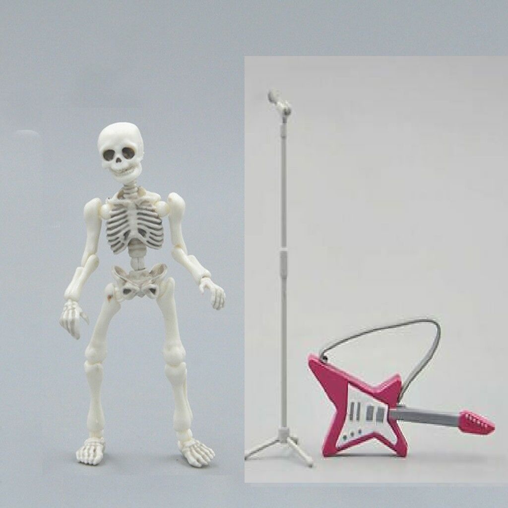Mô Hình Bộ Xương Người Linh Hoạt