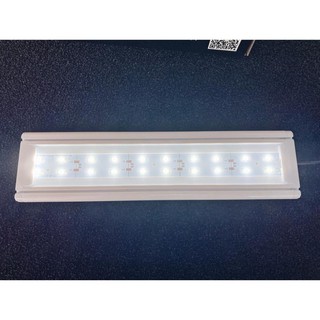 Đèn Led XML Cho Bể Cá Cảnh, Bể Thủy Sinh 30cm, 40cm,80cm.