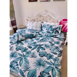 Set chăn ga 4 món Cotton Hàn Quốc