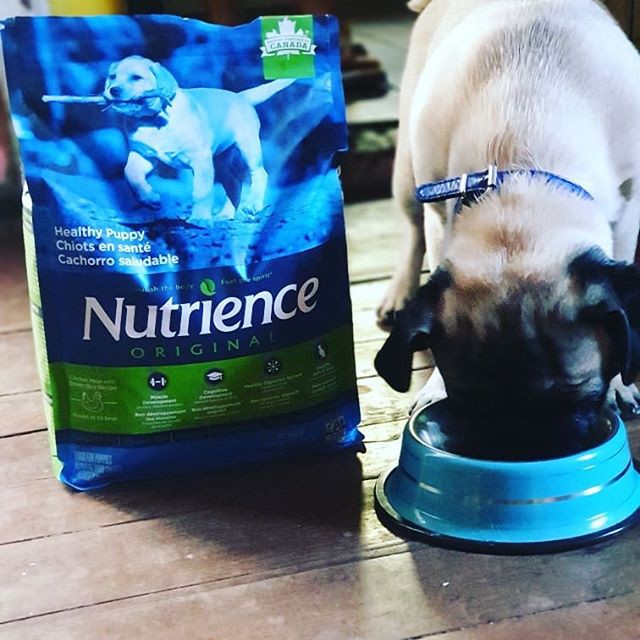 Thức Ăn Cho Chó Husky Con Nutrience Original Bao 2,5kg - Thịt Gà, Rau Củ Và Trái Cây Tự Nhiên