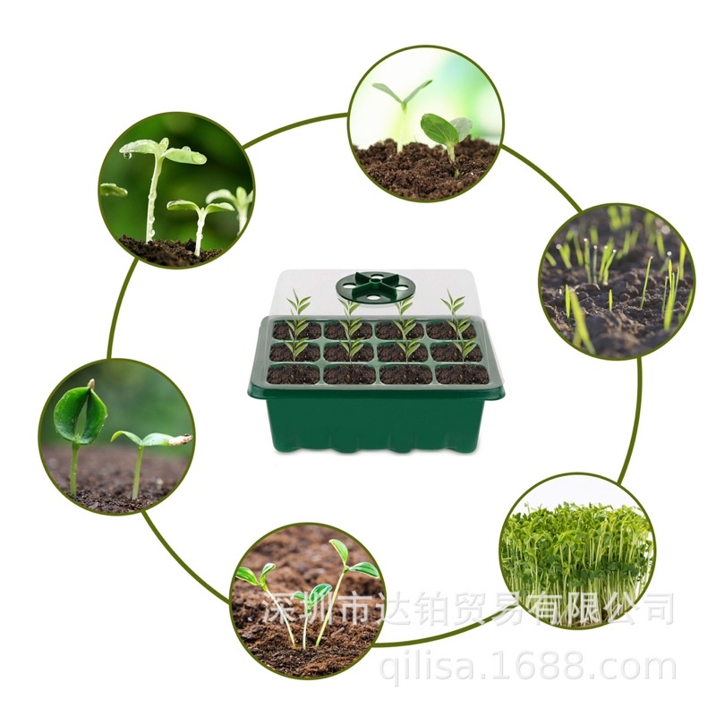 Bộ khay ươm hạt giống 12 lỗ 3 chị tiết có nắp điều chỉnh