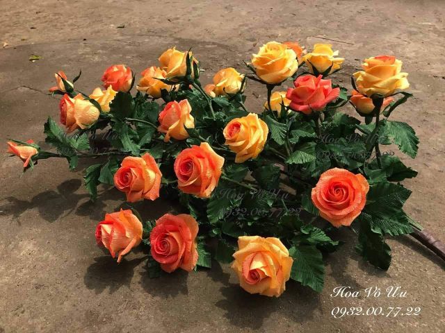 GIẤY NHÚN Ý LOANG MÀU | BigBuy360 - bigbuy360.vn