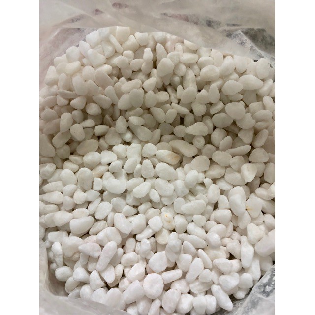 SỎI TRẮNG TRANG TRÍ (1kg)