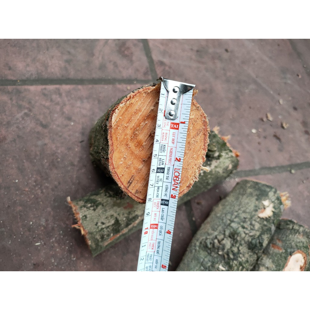 5 khúc gỗ nhãn ghép lan, đường kính 7-9 cm, dài 20-25 cm
