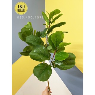 Cây bàng singapore 70cm (cây giả)