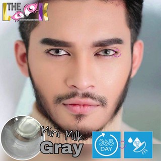 Lens Kính Sát Tròng Milk Gray