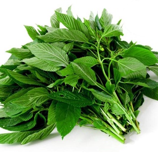 Gói 20g hạt giống rau đay xanh - rau đay trắng