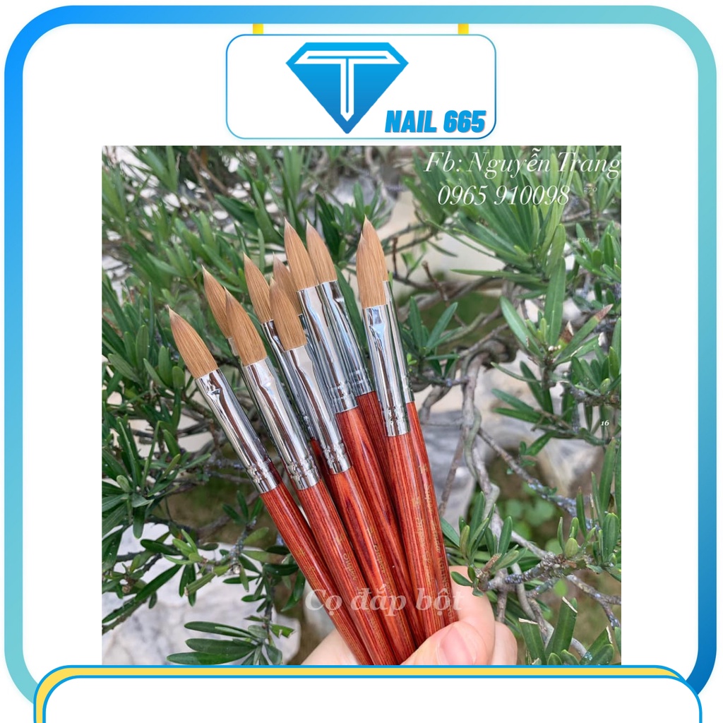 Cọ đắp bột nail Kolinsky , Cọ đắp bột móng nail cao cấp