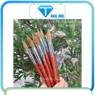 Cọ đắp bột nail Kolinsky , Cọ đắp bột móng nail cao cấp