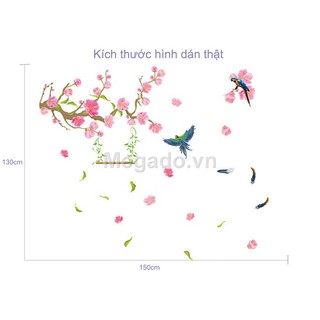 decal dán tườg hoa cành đào tết