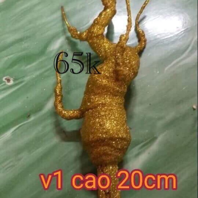 Gốc kim tuyến- gốc làm cây cành vàng lá ngọc