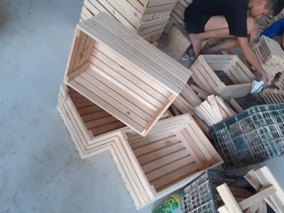 Hộp pallet