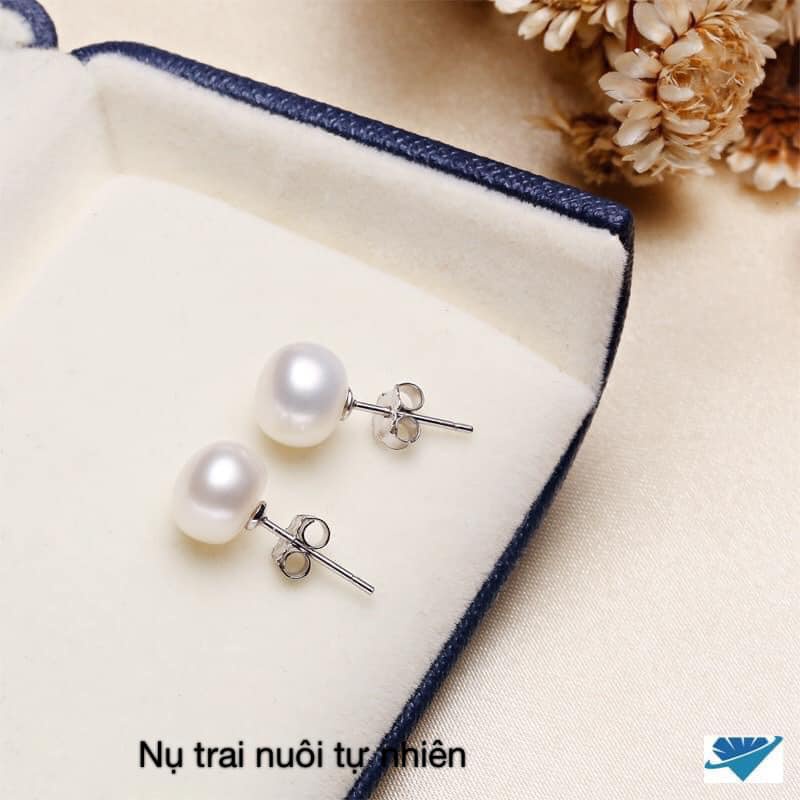 Bông tai nữ bạc, nụ trai cho nữ phong cách đơn giản nhưng rất đẹp