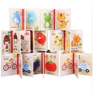 Sách gỗ ghép hình học Tiếng Anh nhiều chủ đề - V047