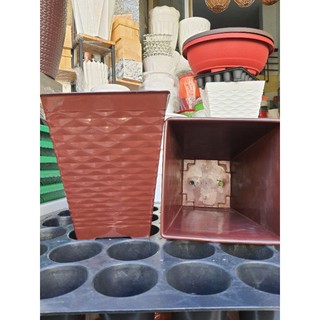 chậu vuông sóng 17x20cm