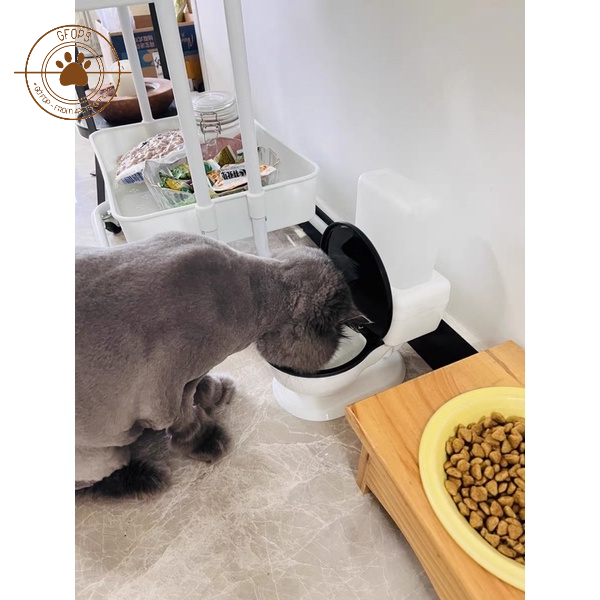Bát, bình đựng nước cho chó mèo thú cưng hình bồn cầu bình 650ml so cute - 4pets official